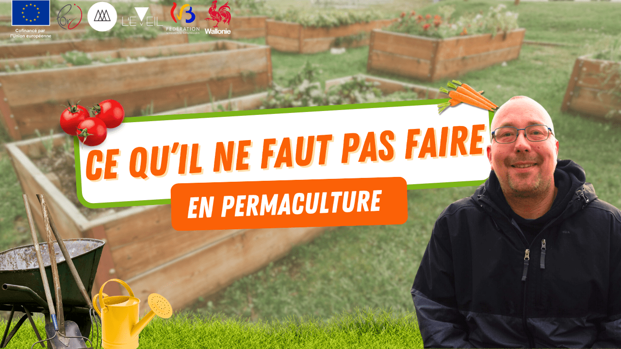 Les 5 erreurs à éviter quand on commence la permaculture