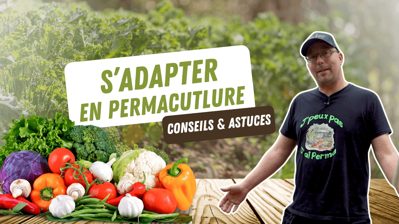 Comment s'adapter en permaculture ?
