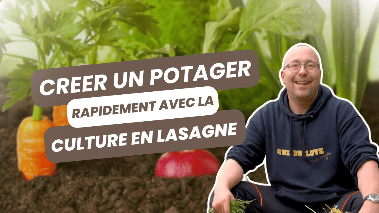 Comment créer un potager rapidement grâce à la culture en lasagne ?
