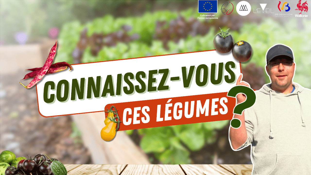 Ces légumes du potager qu'on ne voit pas au supermarché ! 