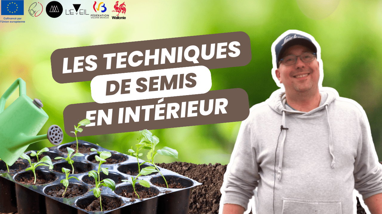 Les différentes techniques de semis en intérieur