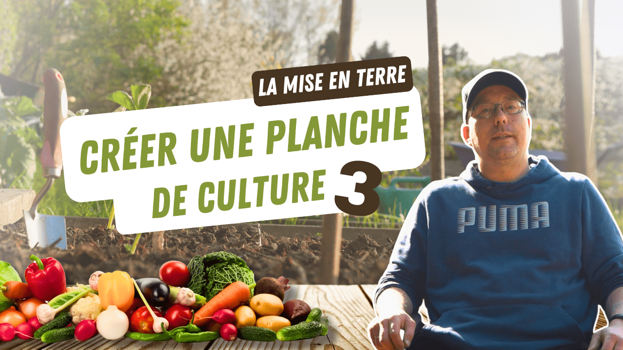 Réussir la mise en terre de votre planche de culture