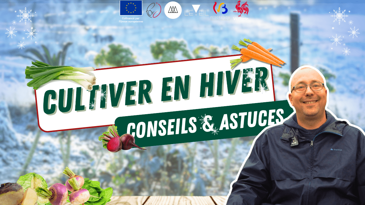 Comment profiter de légumes frais en hiver ?