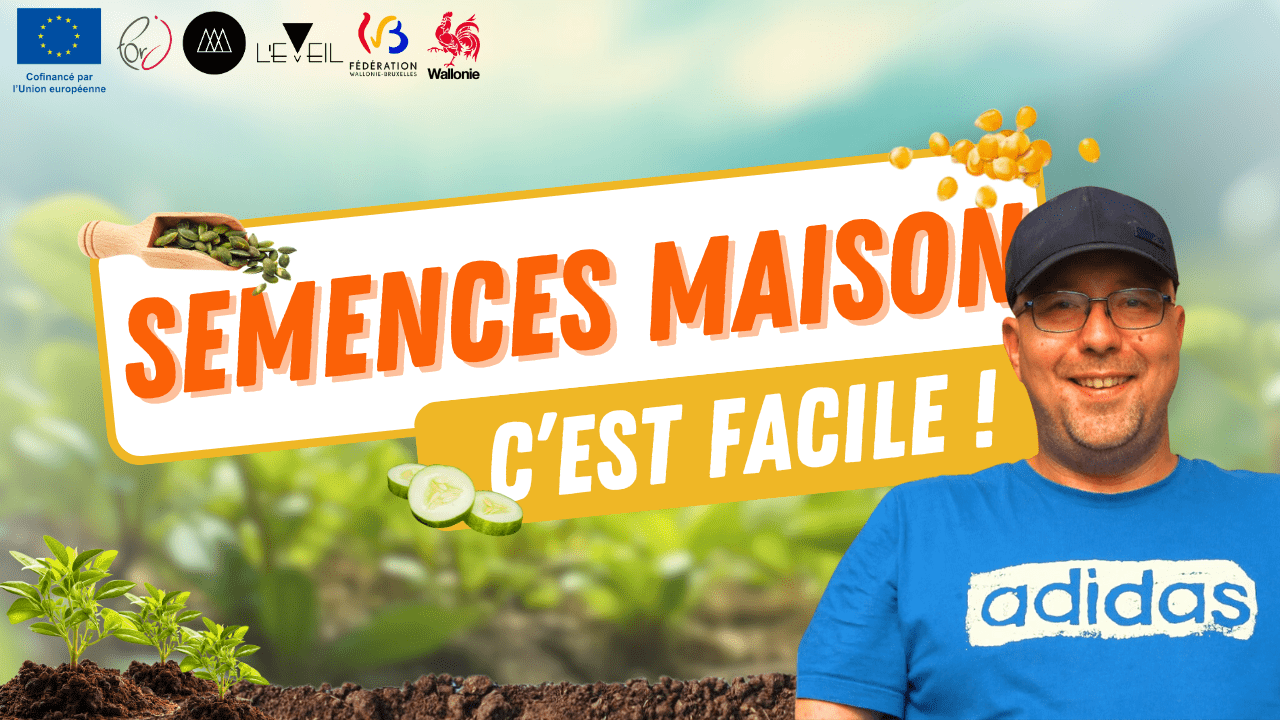 De la plantation à la récolte : produisez vos propres semences