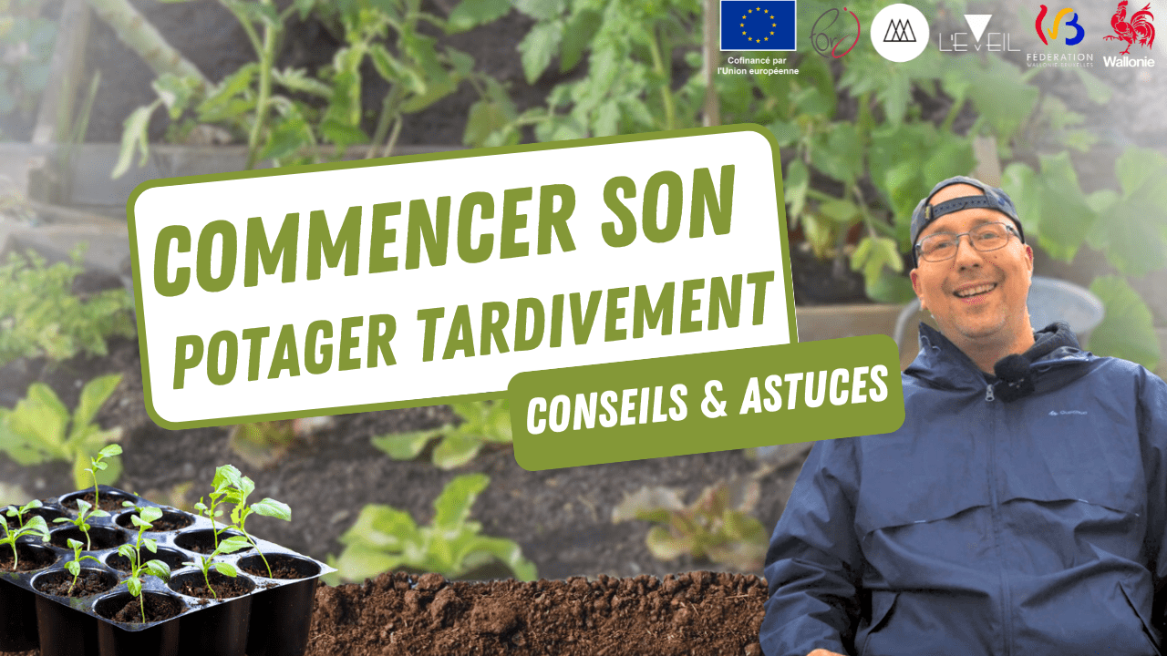 Réussir vos semis tardifs : Comment démarrer votre potager en retard avec succès