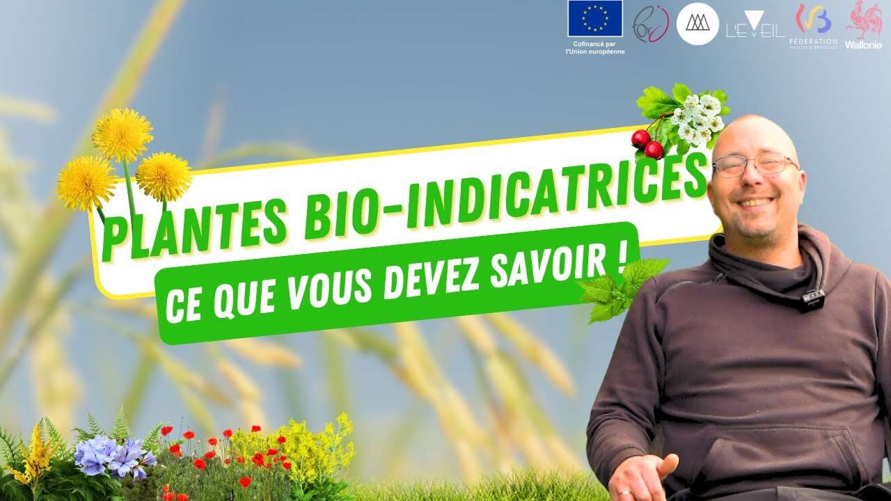 Plantes bio-indicatrices : leur développement et les révélations sur votre sol