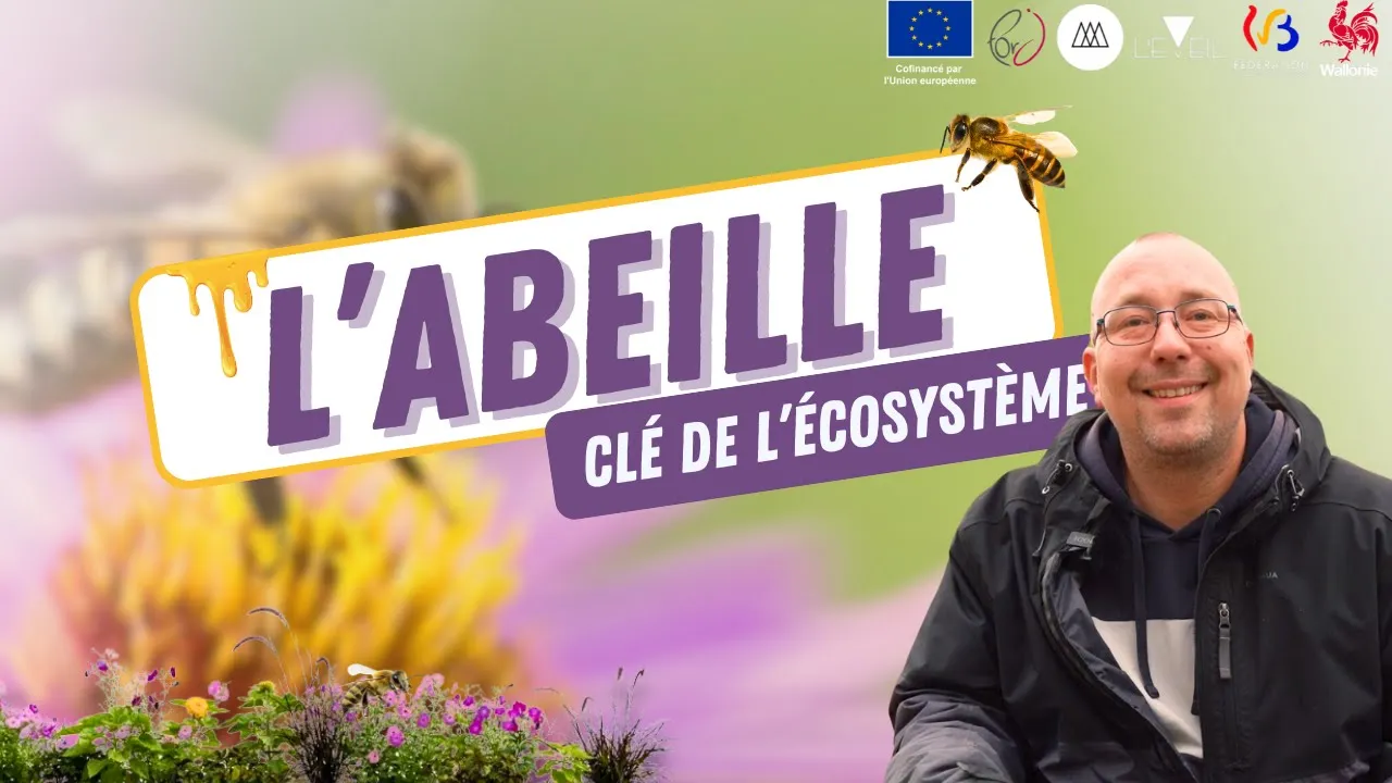 L'EMPLOYE DU MOIS : L'abeille et la permaculture